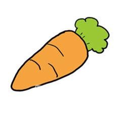 胡萝卜究竟怎么吃最有营养
